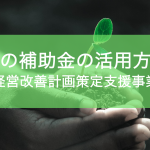 国の補助金活用〜経営改善計画策定支援事業〜